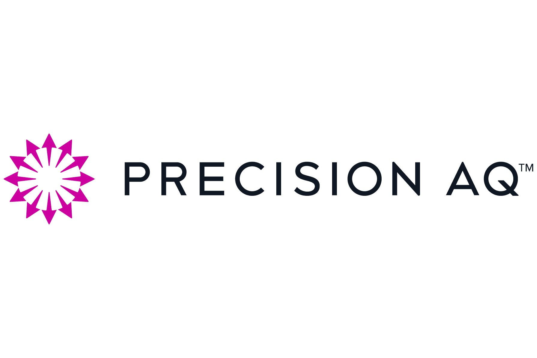 Precision AQ Logo