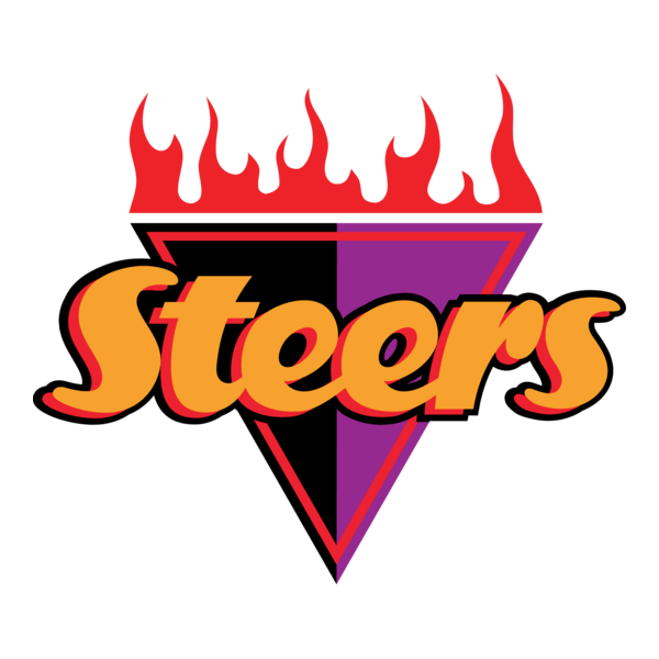 Steer Logo