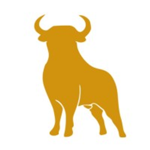 Stier Solutions Inc
