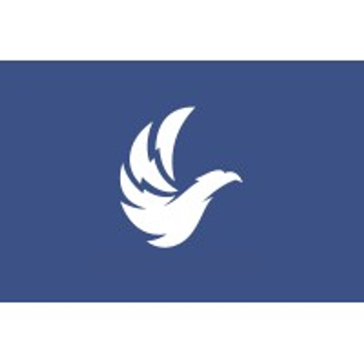 Thunderhawk Technology Partners